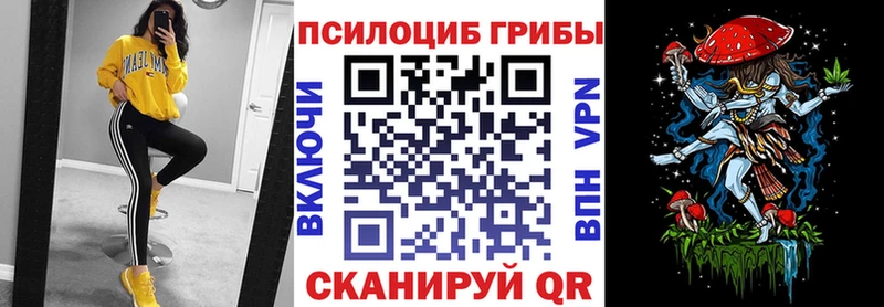 Псилоцибиновые грибы Magic Shrooms Курганинск
